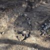 Fantastically Preserved Viking Boat Grave and Skeletons Unearthed in Sweden