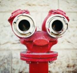 Why the brain is programmed to see faces in everyday objects