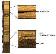 cross-section of part of the core