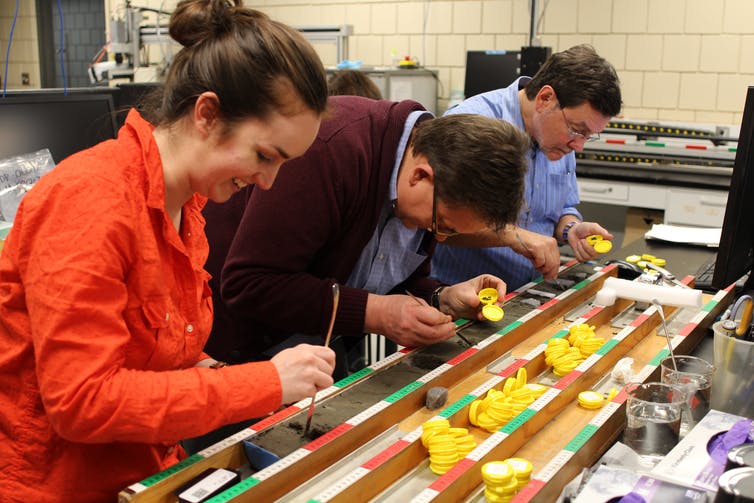scientists working with a cross-section of a sediment core