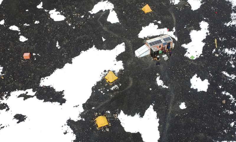 Multi-drone system autonomously surveys penguin colonies