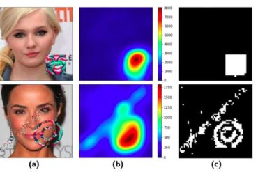 CLEANN: A framework to shield embedded neural networks from online Trojan attacks