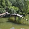 A model of an enormous prehistoric bird is mounted outdoor in the middle of a river. The wingspan reaches from bank to bank.