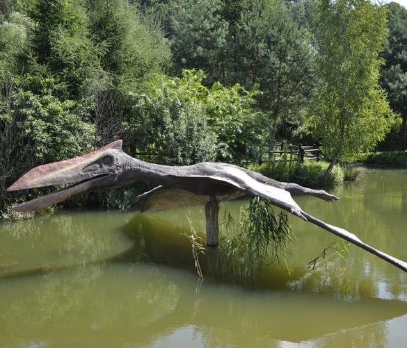A model of an enormous prehistoric bird is mounted outdoor in the middle of a river. The wingspan reaches from bank to bank.