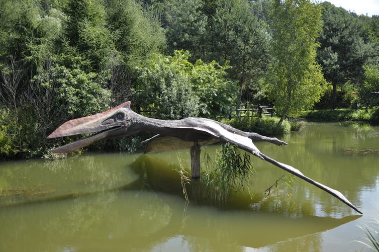 A model of an enormous prehistoric bird is mounted outdoor in the middle of a river. The wingspan reaches from bank to bank.