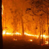 bushfires-2020-1024x341.jpg