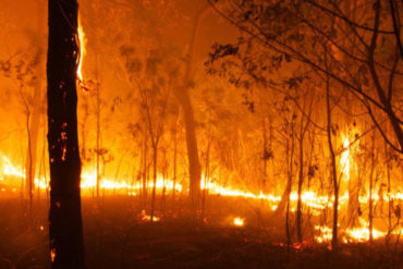 bushfires-2020-1024x341.jpg