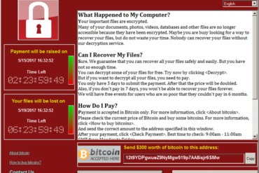 Computer screen showing ransomware demand