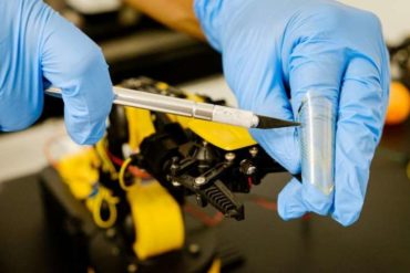 NTU Singapore scientists develop 'mini-brains' to help robots recognize pain and to self-repair