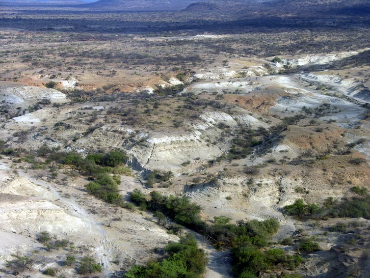 Aerial view of the Olorgesailie basin today.