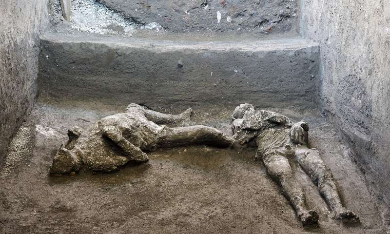 Bodies of man and his slave unearthed from ashes at Pompeii