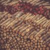 Logs stripped of branches and bark are stacked and tagged.