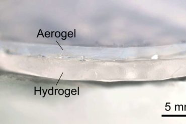 Camel-fur-inspired technology harnesses insulation and evaporation to keep products cool