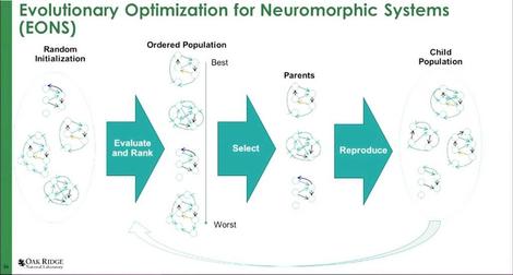 201117-sc20-evolutionary-optimization-for-neuromorphic-systems.jpg