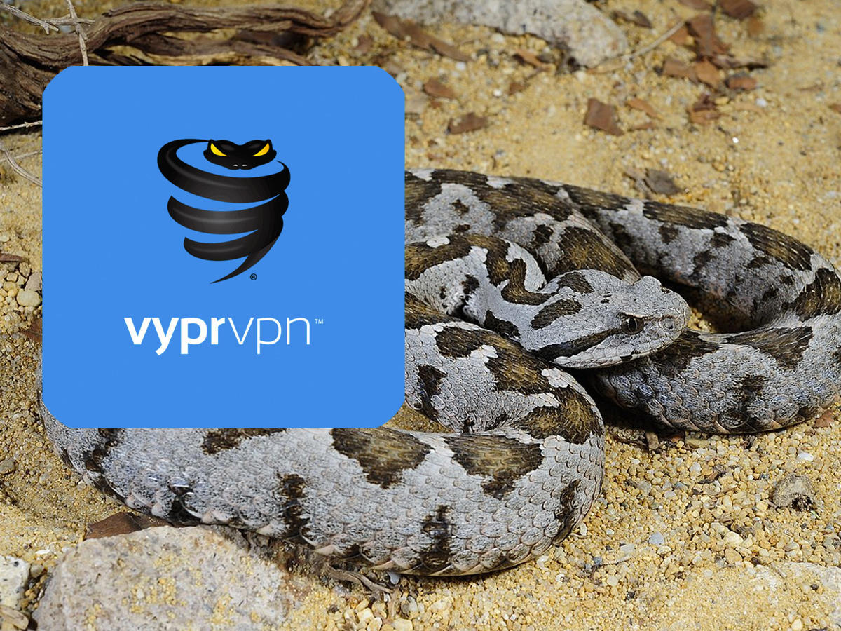 vypervpn.jpg