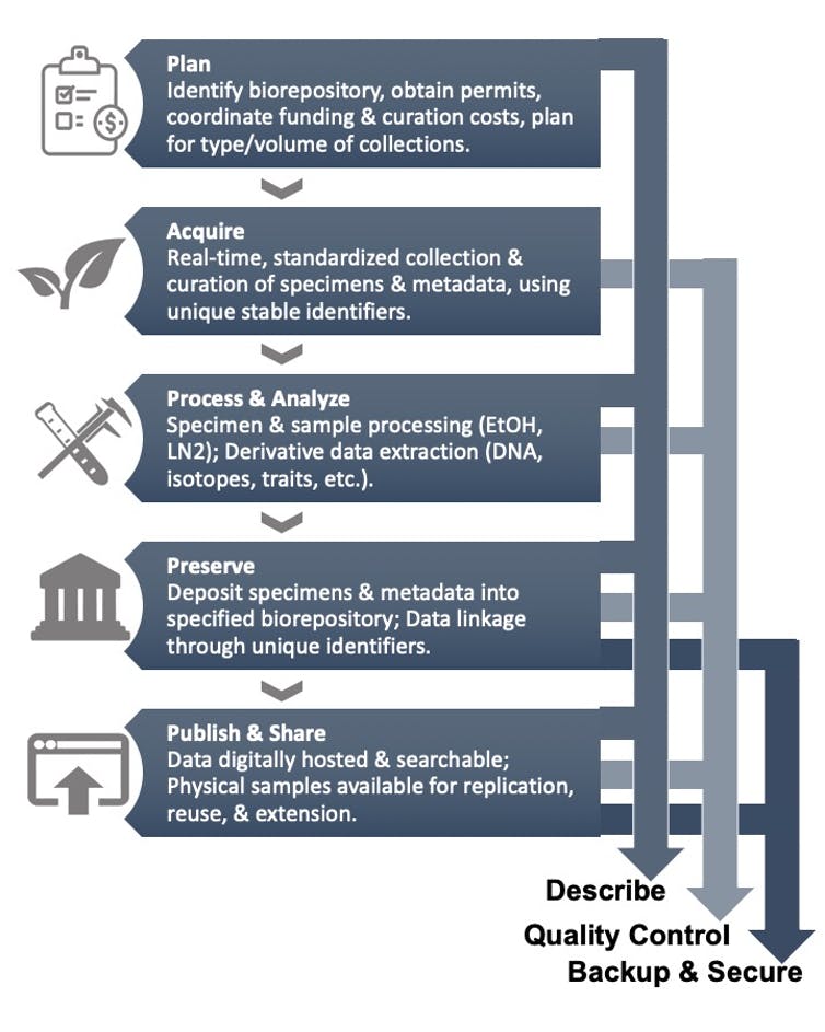 diagram of steps required to archive biological samples