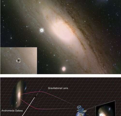 Primordial black holes and the search for dark matter from the multiverse