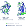 DeepMind develops AI solution to 50-year-old protein challenge