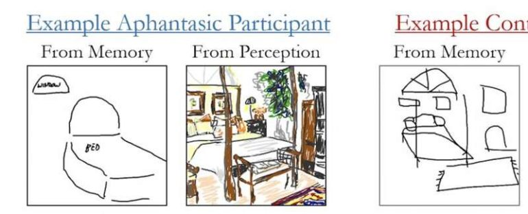Can’t draw a mental picture? Aphantasia causes blind spots in the mind’s eye