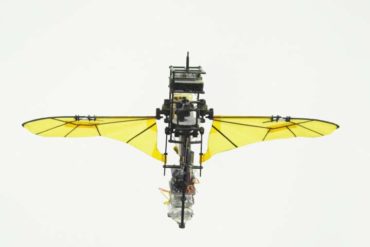 Copying beetle wings to design MAVs that can recover from midair collisions