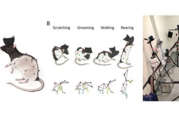 CAPTUREing Whole-Body 3D movements