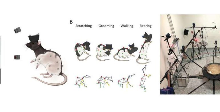 CAPTUREing Whole-Body 3D movements