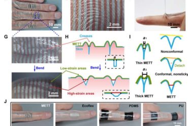 Electronic transfer tattoo with a crease amplification effect