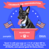 A virtual poster saying 'Join the world's largest party for dogs. Celebrate the Indoguration!' In the center is a photo of a German Shepard.