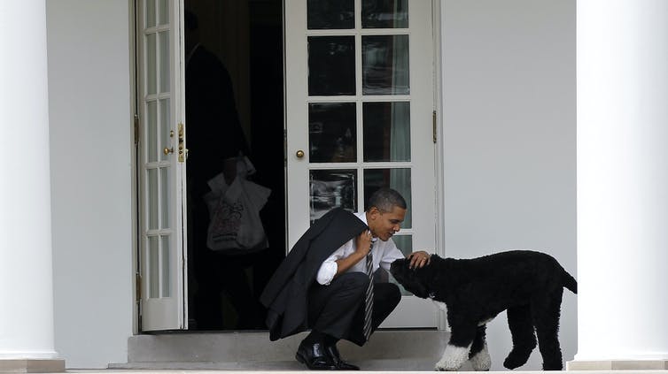 President Obama kneels and pets his dog outside the Oval Office.