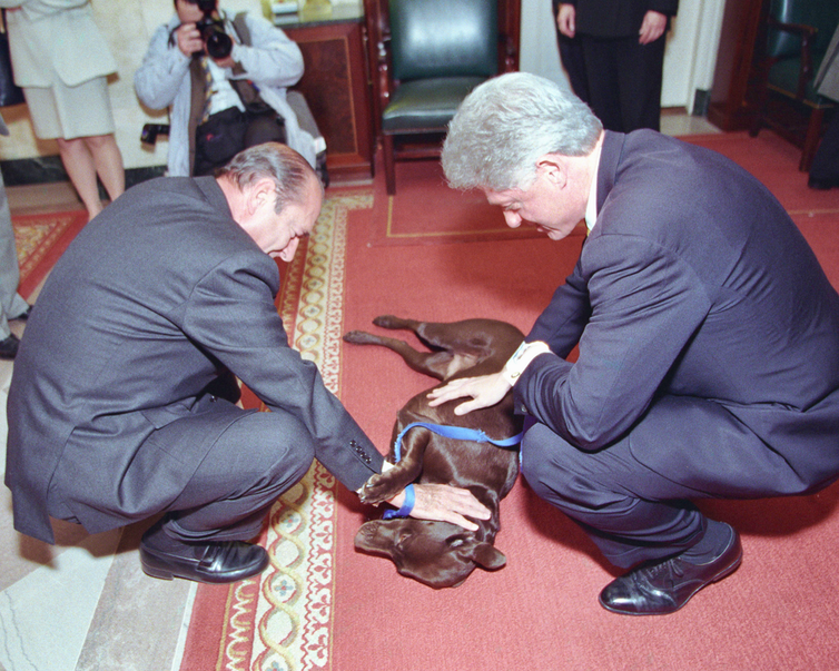 Chirac and Clinton squat to pet a Labrador Retriever.