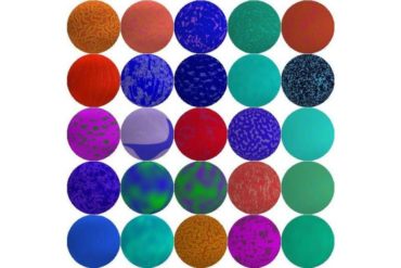 New research demonstrates how the best camouflage can be found for an arbitrary environment