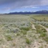 New study reveals how fences hinder migratory wildlife in the West