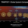 The seven rocky planets of TRAPPIST-1 seem to have very similar compositions