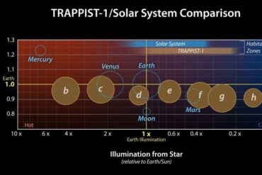 The seven rocky planets of TRAPPIST-1 seem to have very similar compositions