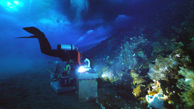 SCUBA diver accesses underwater recording equitpment