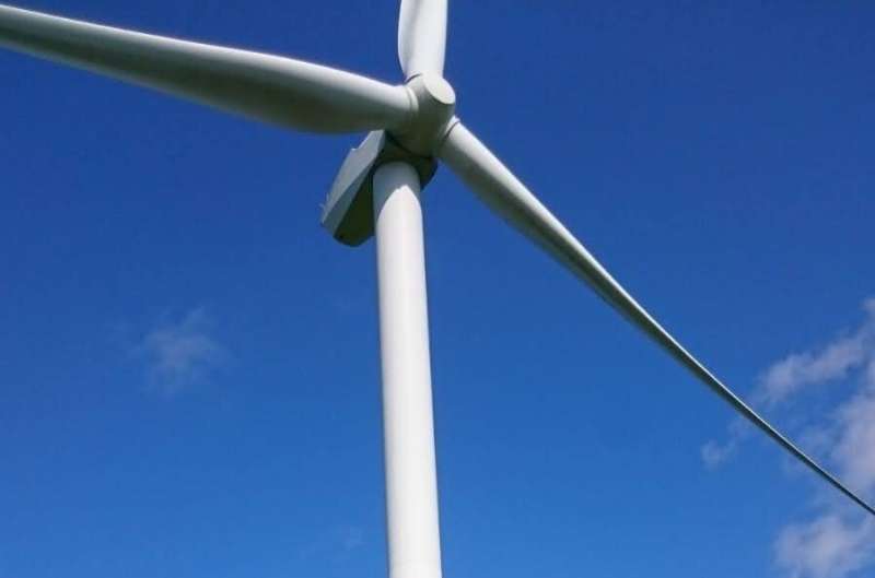 Common pipistrelle bats attracted to wind turbines