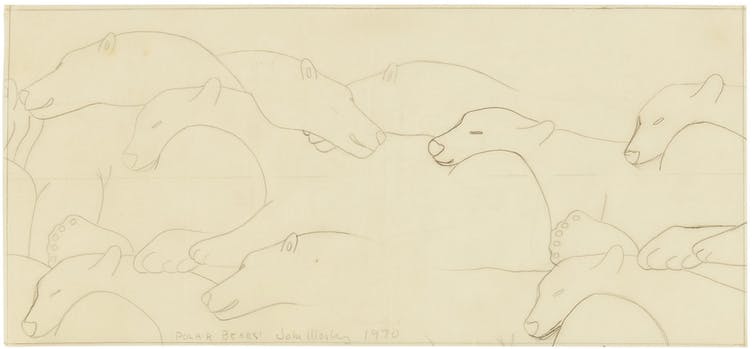 pencil drawings of polar bears