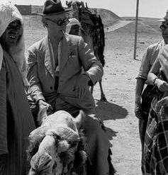 Man in sunglasses and hat sits on a camel