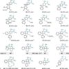 Electrophotocatalytic diamination of vicinal C–H bonds