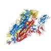 Covid-19: Future targets for treatments rapidly identified with new computer simulations