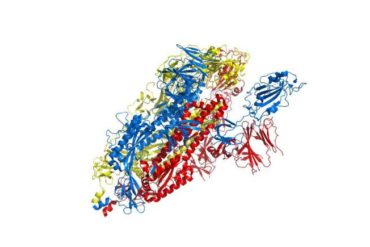 Covid-19: Future targets for treatments rapidly identified with new computer simulations