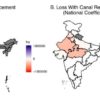 Indian agriculture: Groundwater depletion could reduce winter cropped acreage significantly in years