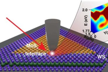 Imaging technique provides link to innovative products