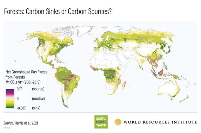 NASA satellites help quantify forest impacts on the global carbon budget