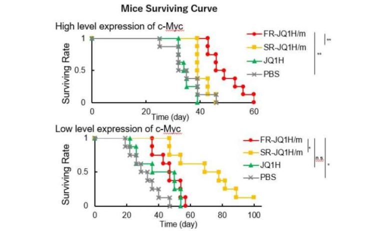 Nanomedicine activation profile determines efficacy depending on tumor c-Myc expression