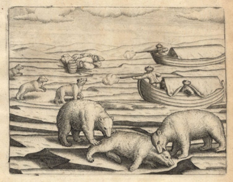 Engraving of many polar bears on ice with hunters in boats