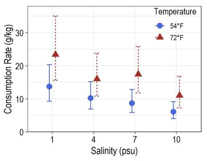 Warming may promote spread of invasive blue catfish