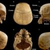 Journey of a skull: How a single human cranium wound up alone in a cave in Italy