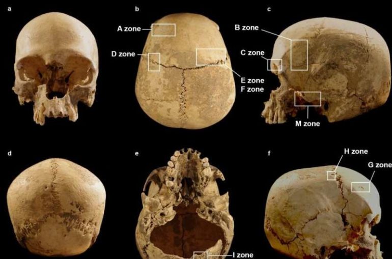 Journey of a skull: How a single human cranium wound up alone in a cave in Italy