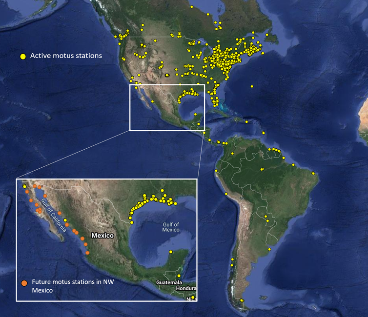 A map of existing Motus stations covering much of North America and showing planned stations in northwest Mexico.
